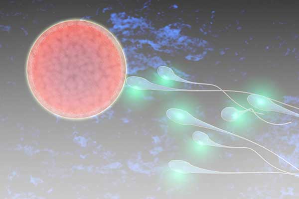 Hormone Replacement Therapy